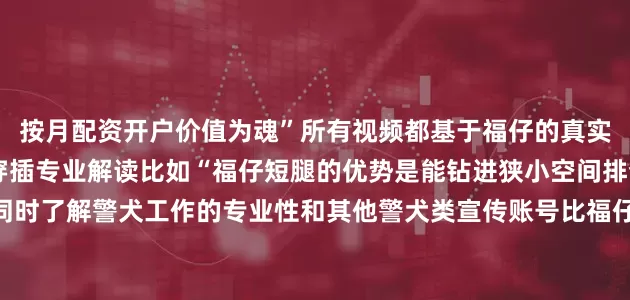 按月配资开户价值为魂”所有视频都基于福仔的真实工作不刻意卖萌剪辑时穿插专业解读比如“福仔短腿的优势是能钻进狭小空间排查”让网友在看萌点的同时了解警犬工作的专业性和其他警犬类宣传账号比福仔的差异化优势在哪里？一是犬种稀缺性柯基警犬本身就少见短腿萌态+专业警务的反差辨识度极高二是双视角呈现清帅懂训导、懂福仔海涛懂宣传、懂传播两者结合能既深入又全面地展示警犬日常三是本地化结合我们会结合本地的工作场景拍摄